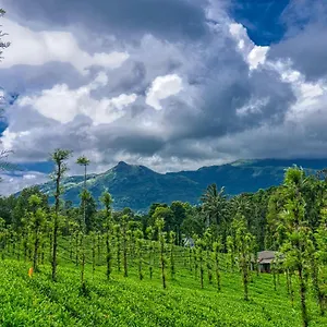 Hotel Ende Wayanad