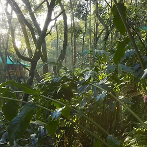 Dream Catcher Resort Munnar